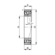 SS HSS7024-C-T-P4S, {(dio)(ji)Ɍ(du)b|  = 15ɂ(c)ܷǽ|Ӈ(yn)